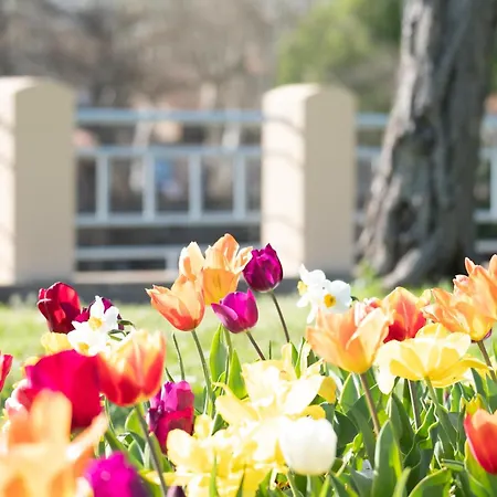 Evasions-escapade, Centre-ville, Gare Lägenhet Auterive (Haute-Garonne)